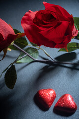 Closeup of heart shaped chocolate confections, red roses and a gift against dark background.