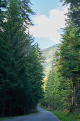 Une route en montagne