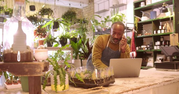 Male Florist Working on Laptop in Plant Store, Talking on Smart Phone
