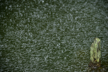 どこにでもある日本の一般的な風景画像、自然イメージで。