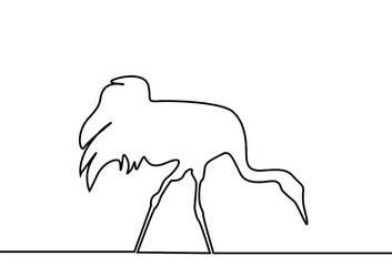 a large winged bird is grazing on the ground