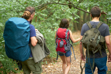 Three friends hiking down a trail through a forest, view from the back, using walking sticks,...