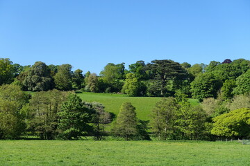 Scenic View of Rolling Countryside of Green Fields, Leafy Trees and Blue Sky Above