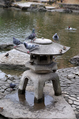 石灯籠のある東京の日本庭園の風景（旧安田庭園）