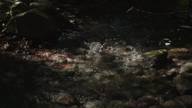 A closeup shot of bubbling water running over the rocky riverbed