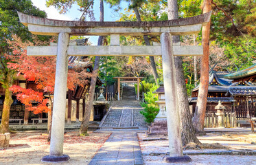 Fototapeta na wymiar 京都、今宮神社の境内