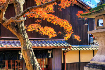 京都、今宮神社の東門門前