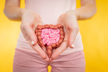 Model of gastrointestinal tract. Concept of health of human digestive system. Women's hands with model of intestine. Care for health of human stomach. Girl with intestines on yellow background.