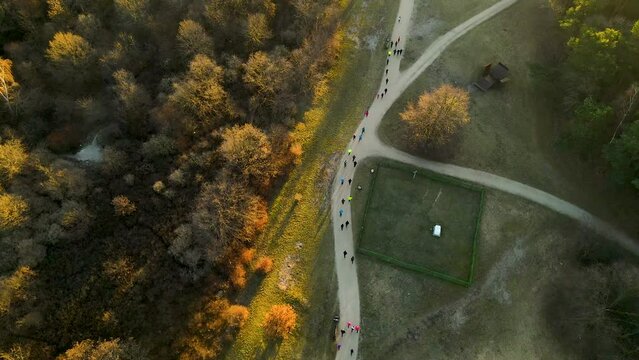 Group of runners running a marathon in a park at sunrise Przymorze Poland - aerial top-down view