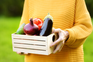 Senior woman farmer holding freshly picked organic vegetables. Healthy vegetarian food. Harvesting. Local business