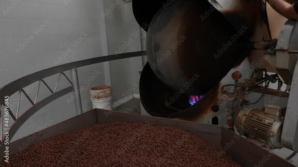 Poster cocoa factory. machine toasting cocoa beans. chocolate factory process.