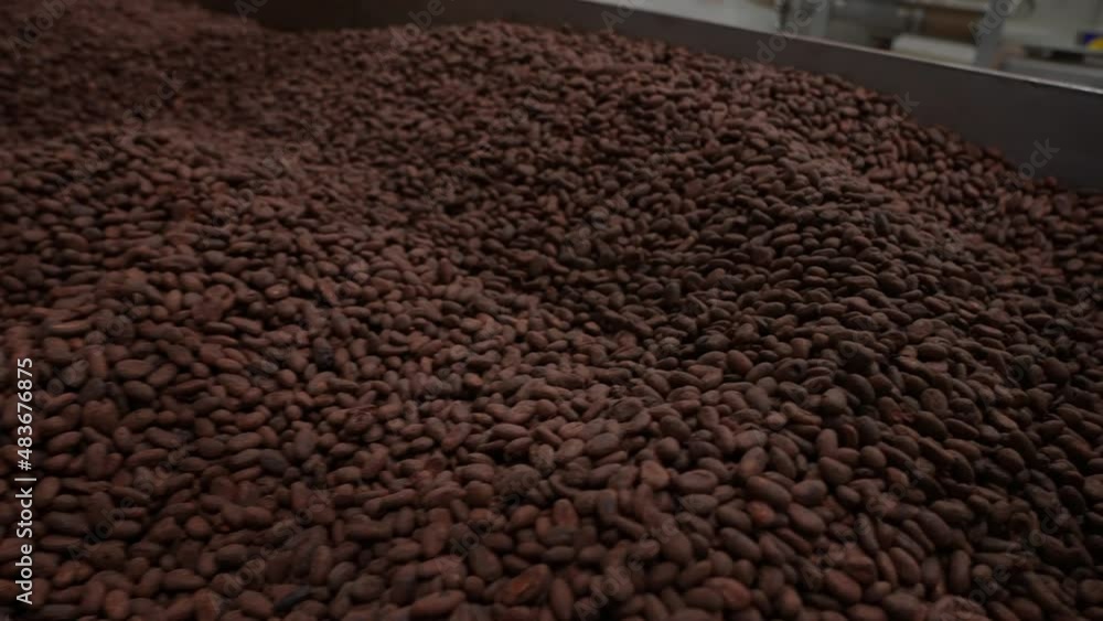 Poster man toasting cocoa. close up shot of dry cocoa beans being toasted on the chocolate factory. a worke