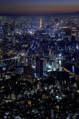 Fototapeta na wymiar 東京スカイツリーから望む東京タワーと夕景