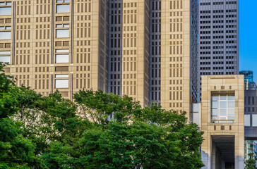 都庁　東京都庁　見上げた都庁　新緑　青空　ブルー　コピースペース　ビジネス