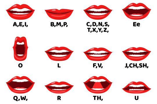 Cute female lip sync collection for animation mouth animation phoneme mouth chart alphabet pronunciation isolated