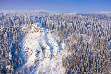 winter forest with frozen icy trees on top