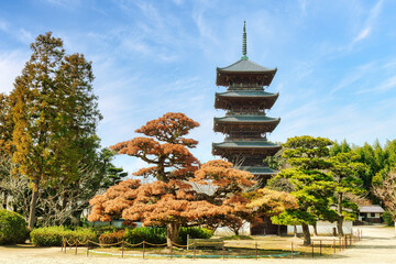 五重塔と松の木｜国分寺