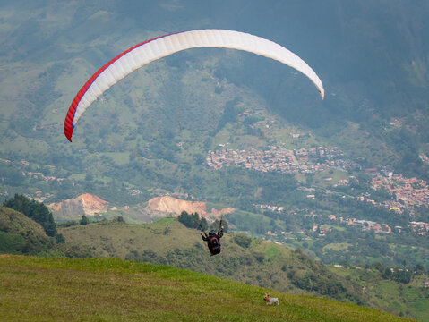 Men Flying in a Red Paraglider near the Mountains while a Small Dog Runs Through the Green Field in Belmira, Antioquia, Colombia