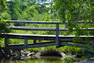 Fototapeta na wymiar Wooden Bridge in Forest 