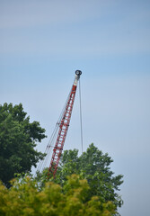 Construction Crane in wooded area clearing out debris