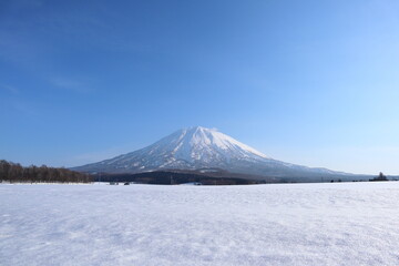 冬の羊蹄山