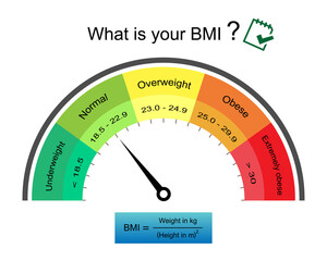 Adult body mass index range infographic inspeedometer with weight status from underweight to extremely obese with BMI calculator.Medical healthcare concept.what is your BMI.Vector.Illustration. - obrazy, fototapety, plakaty