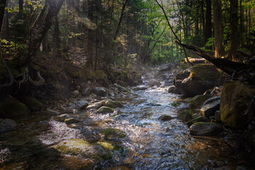Fototapeta premium The White Mountains, New Hampshire