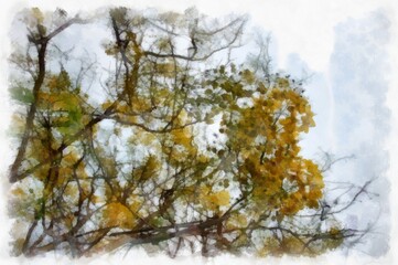 Ratchaphruek tree with a large bunch of yellow flowers. watercolor style illustration impressionist painting.