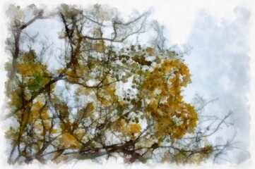 Ratchaphruek tree with a large bunch of yellow flowers. watercolor style illustration impressionist painting.