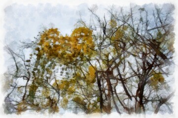 Ratchaphruek tree with a large bunch of yellow flowers. watercolor style illustration impressionist painting.