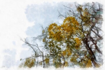 Ratchaphruek tree with a large bunch of yellow flowers. watercolor style illustration impressionist painting.