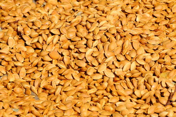 apricot kernels left to dry in the sun
