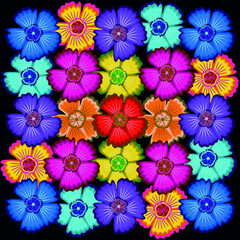 Fototapeta na wymiar Flowers in bright colors