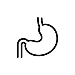 Stomach thin icon vector isolated on white, human organ sign and symbol illustration.