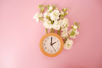 Spring forward concept background. spring flowers and a clock on pink background. Spring time,...