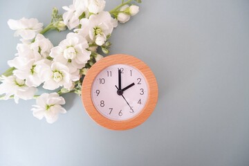 Spring forward concept background. spring flowers and a clock on pale green background. Spring...