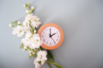 Spring forward concept background. spring flowers and a clock on pale green background. Spring...
