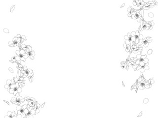 Obraz premium さくらの線画フレーム⑧黒_左右