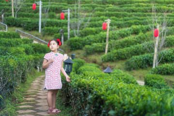 asian child wearing chinese dress or kid girl standing in green tea farm or plantation garden trees with red yi peng lantern on chinese new year holiday travel at ban rak thai mae hong son in thailand