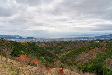Obraz premium 静岡県 三島市 三島大吊橋