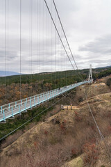 静岡県 三島市 三島大吊橋