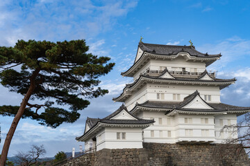 Fototapeta premium 神奈川県 小田原市 小田原城
