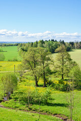 Obraz premium Summer view of a rural landscape
