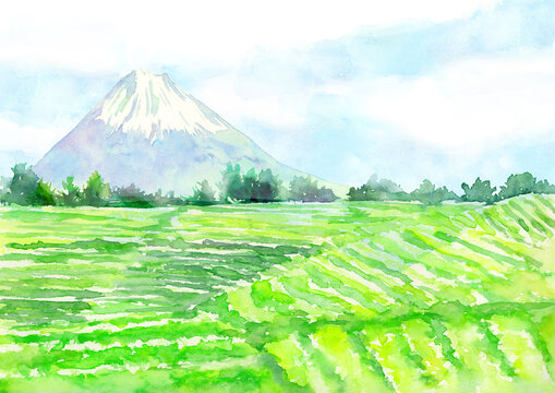 Tea Garden Images Browse 13 261 Stock Photos Vectors And Video Adobe Stock