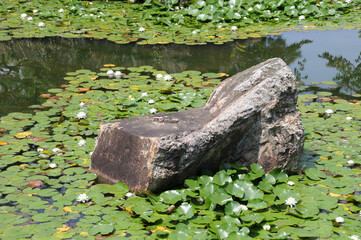 二条城　二の丸庭園の池の石　京都市中京区