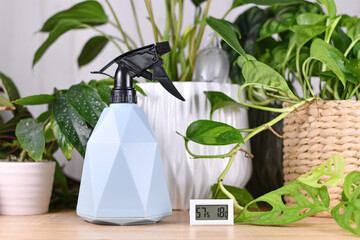 Water spray bottle and hygrometer device to maintain ideal humidity for houseplants - obrazy, fototapety, plakaty