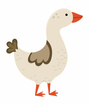 Vector goose icon. Cute cartoon gander illustration for kids. Farm bird isolated on white background. Colorful flat animal picture for children.