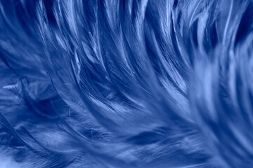 Beautiful Dark Blue Feathers Texture Vintage Background