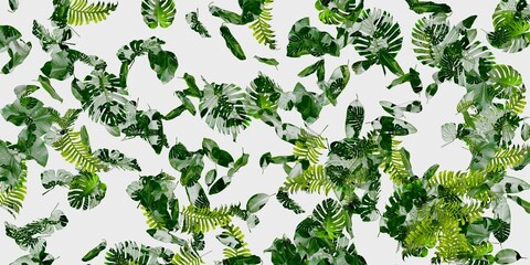 Fototapeta premium green leafs background