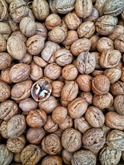 Walnuts with shells filling the picture. Background of fresh walnuts.